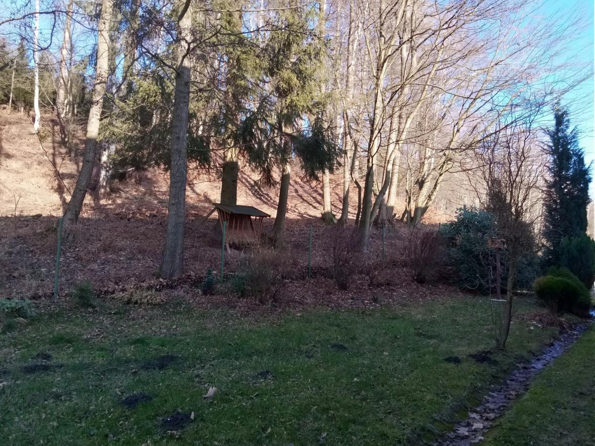 Apartmany Pod Prehradou Chřibská Zewnętrze zdjęcie